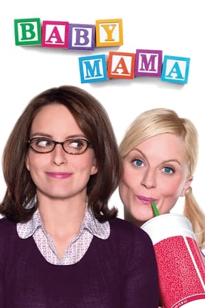 Baby Mama (2008) Dual Audio | Hindi Full Movie BluRay [900MB]