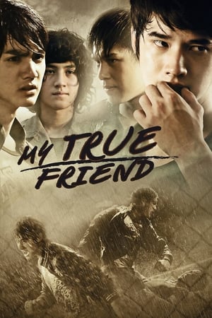 Friends Never Die (2012) dual Audio | Hindi Full Movie HDRip 340MB