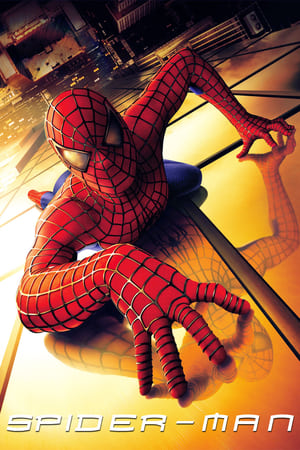 Spider-Man (2002) Dual Audio | Hindi Full Movie BluRay [820MB]