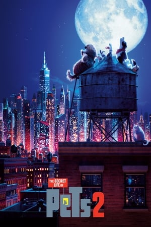 The Secret Life of Pets 2 (2019) (Original) Dual Audio | Hindi Full Movie BluRay [850MB]
